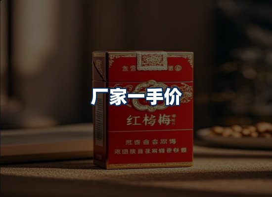 专业团队办公环境